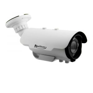 Камера видеонаблюдения AKSILIUM IP-503 VP (3.6-10)