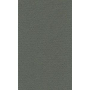 Бумага для пастели 50х65 LANA виридоновый зеленый