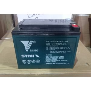 Аккумулятор для тележек WPT15-2 12V/65Ah гелевый 
(Gel battery)