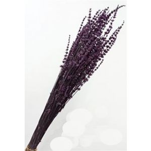 Сухоцвет Лаванда 50-60 см, стабилизированная, фиолетовая 100 гр.