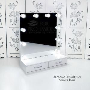 Гримерное зеркало «Скат 2 Lux» 800*800 белый глянец (10 ламп)