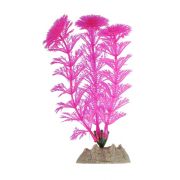 GLOFISH Растение флуоресцирующее розовое