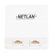Розетка NETLAN настенная, 2 порта, Кат.5e (Класс D), 100МГц, RJ45/8P8C, 110, T568A/B, неэкранированная, белая, уп-ка 10шт.