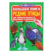 Большая книга Редкие птицы 277100