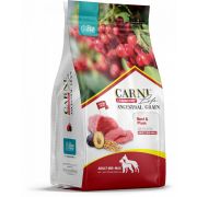 CARNI LIFE Сухой корм для собак средних и крупных пород говядина с черносливом и клюквой