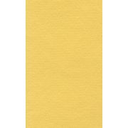 Бумага для пастели 42*29,7 160г LANA светло-желтый