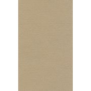 Бумага для пастели 50х65 LANA белый серый
