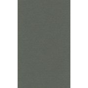 Бумага для пастели 50х65 LANA виридоновый зеленый