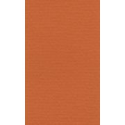 Бумага для пастели 50х65 LANA оранжевый