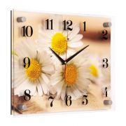 3040-119 (10) Часы настенные «Милые ромашки» 30х40см