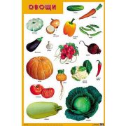 Плакат Овощи А2  МС10166