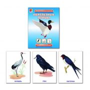 Перелетные птицы. Демонстрационный материал  12 карт. Радуга