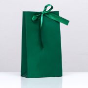 Пакет ламинированный вертикальный подарочный с лентой «Зелёный» 13 х 23 х 7 см, 9561210