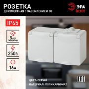 Розетка 2-м ОП Эра Эксперт 11-2604-03 16А IP65 горизонт. 250В 2х2P+E защ. шторки сер. Эра Б0035992